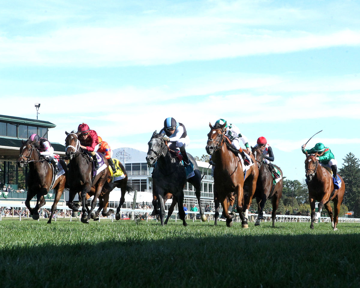 CLASSIC Q - 100326 - Race 08 - KEE The First Lady G1 - Under Rail 01
