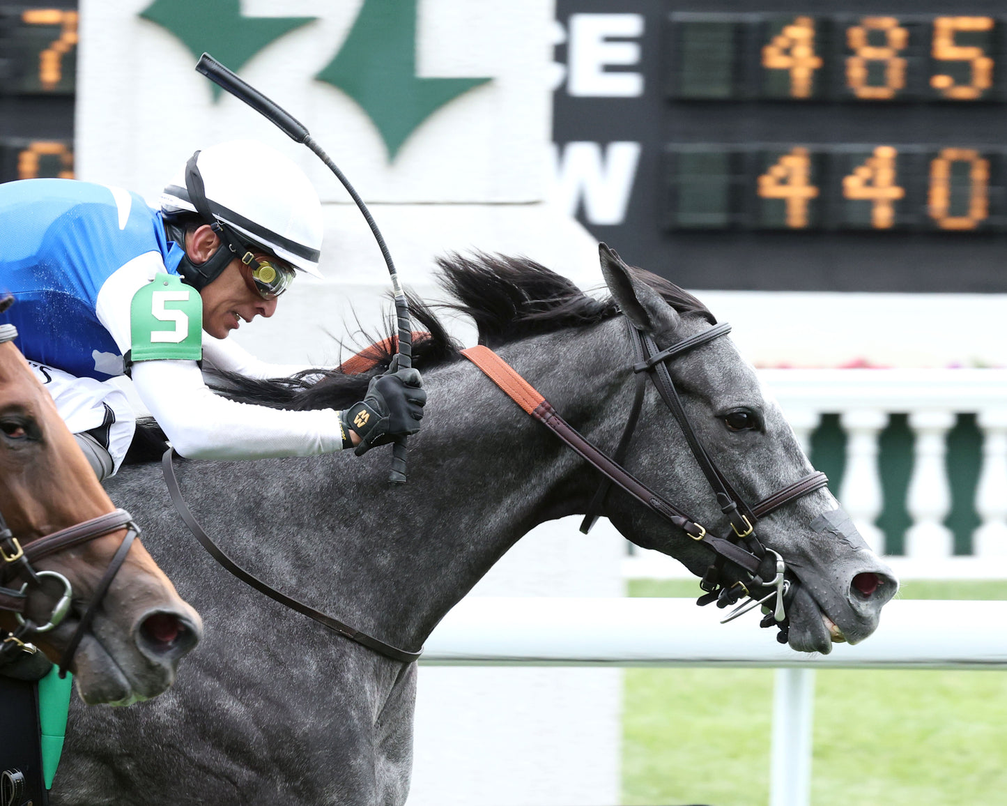 CLASSIC Q - The Longines Churchill Distaff Turf Mile G2 - 05-02-26 - R07 - Churchill Downs - Tight Finish 01 - Coady Media - Kurtis Coady Photography