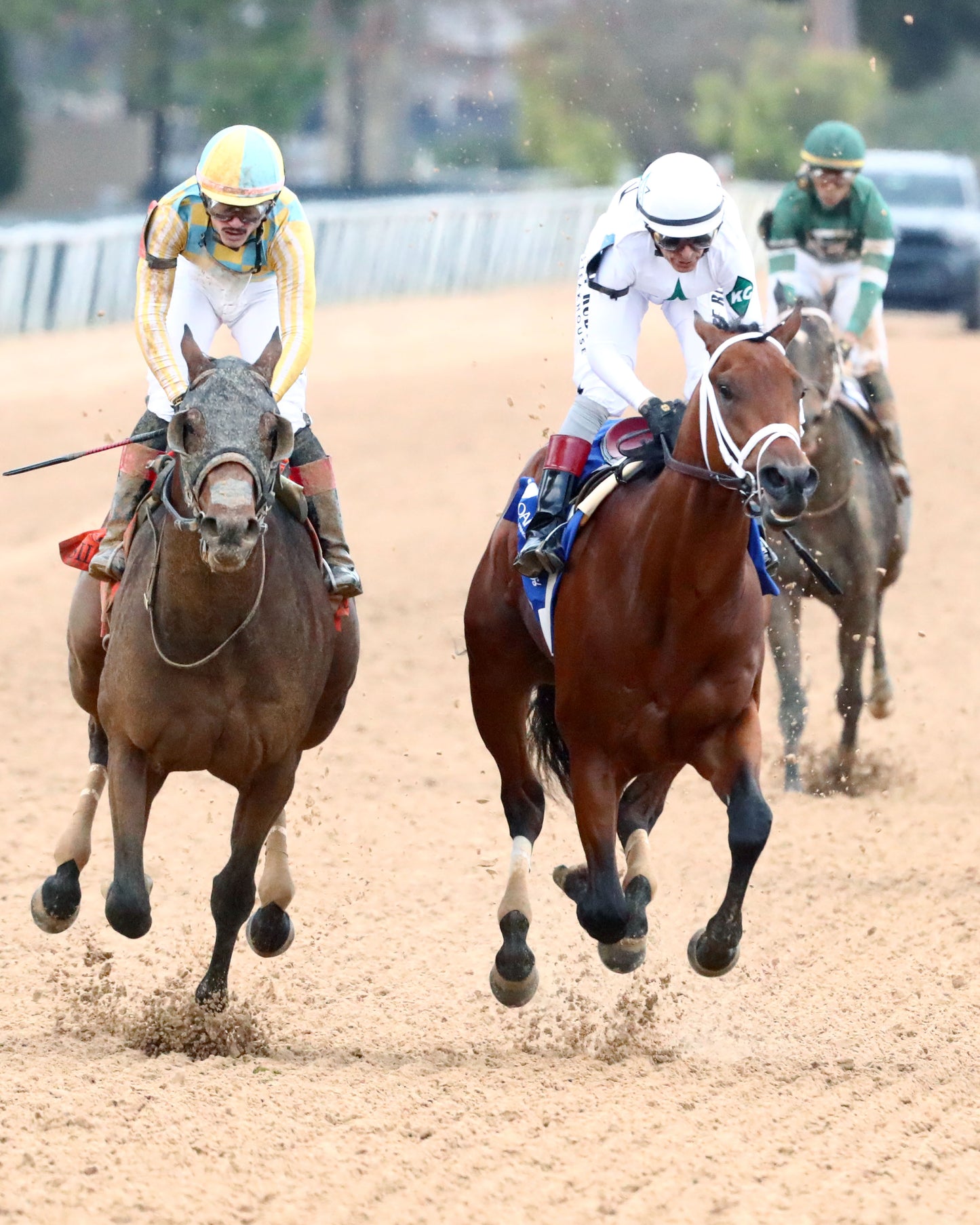 CLASS PRESIDENT - Rebel Stakes G2 - 03-01-26 - R11 - OP - Gallop Out 01 - Coady Media - Kurtis Coady Photography