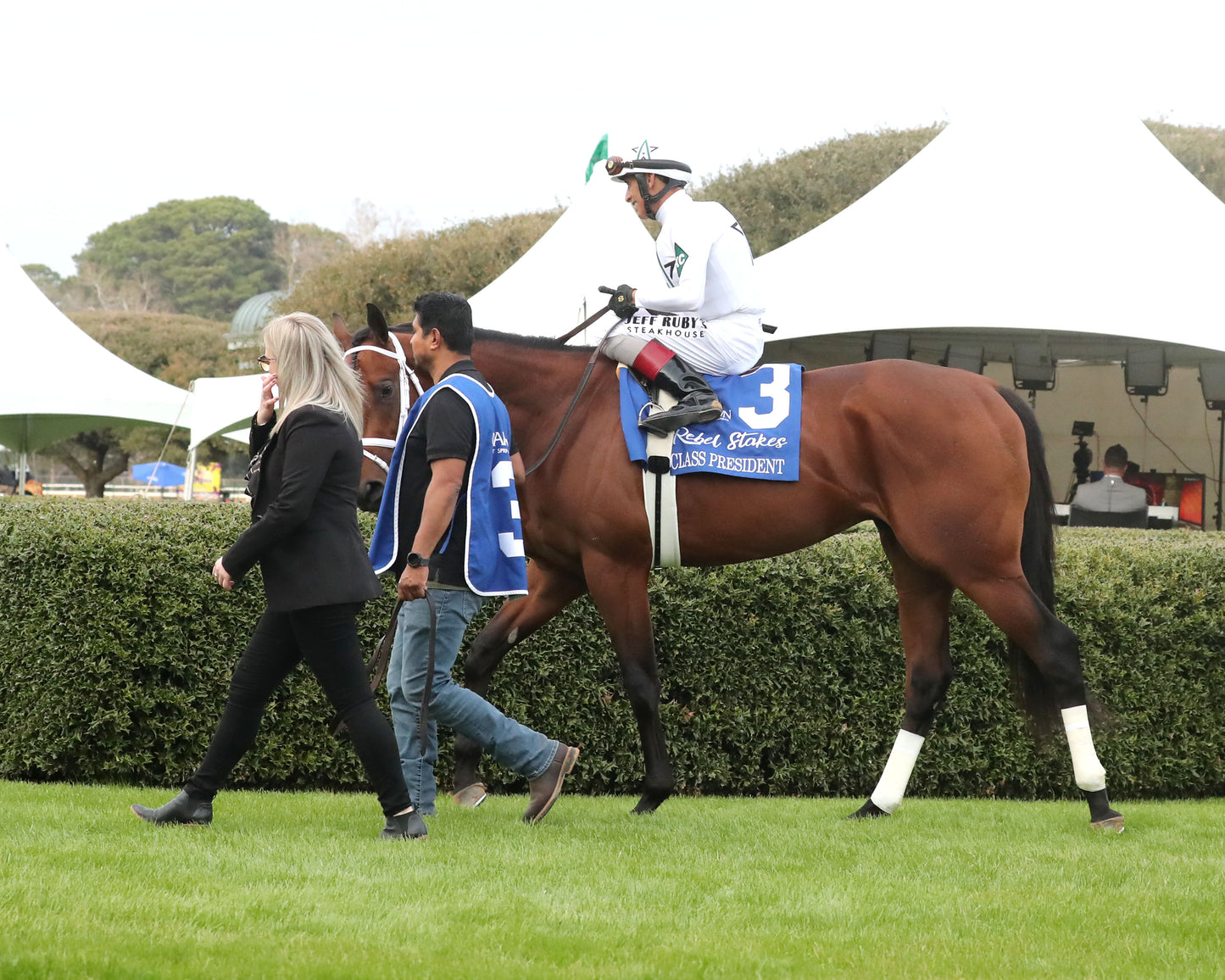CLASS PRESIDENT - Rebel Stakes G2 - 03-01-26 - R11 - OP - Paddock 02 - Coady Media - Kurtis Coady Photography