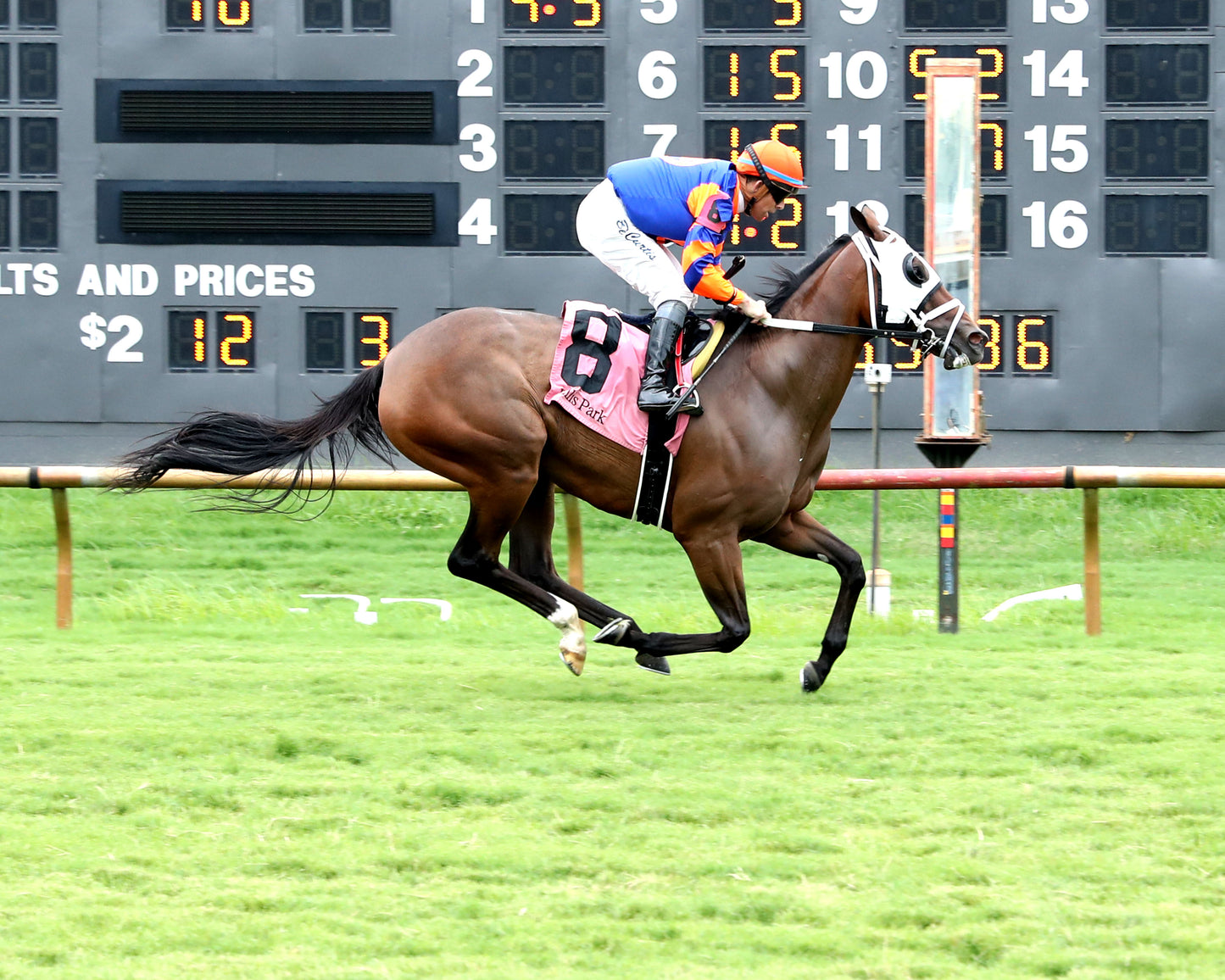 CLOE - 080126 - Race 10 - ELP - Finish 01