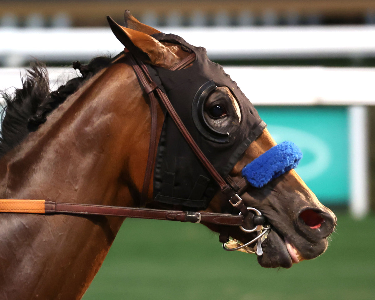 CONSEQUENT - The Seneca Overnight Stakes - 09-19-26 - R10 - CD - Finish 02