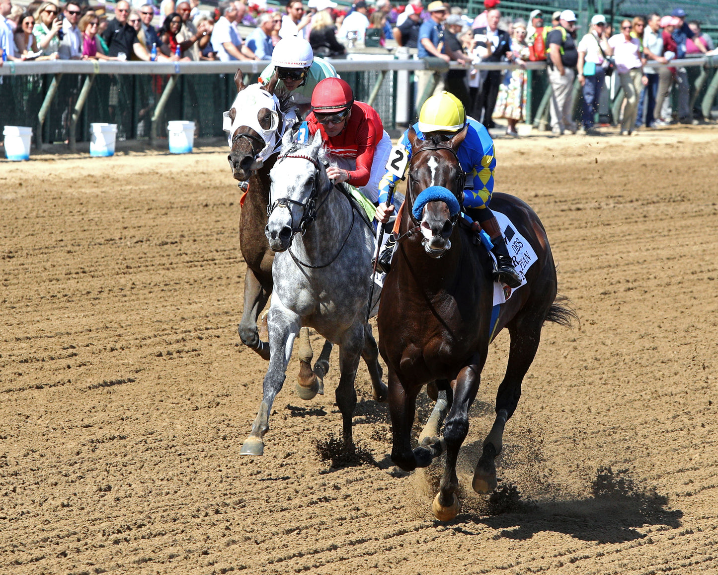 CORNUCOPIAN - 053026 - Race 08 - CD The Aristides G3 - Inside Finish 02