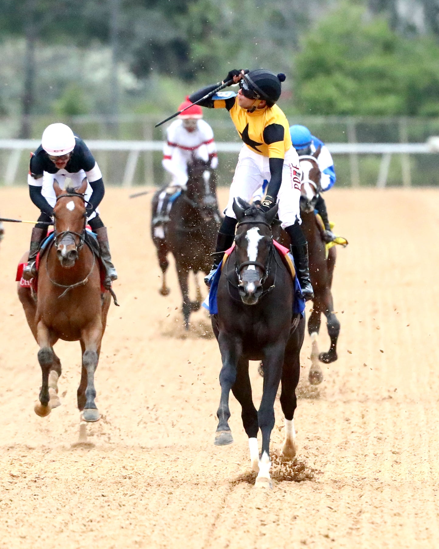 COUNTING STARS - The Fantasy Stakes G2 - 03-27-26 - R11 - OP - Celebration 04 - Coady Media - Kurtis Coady Photography