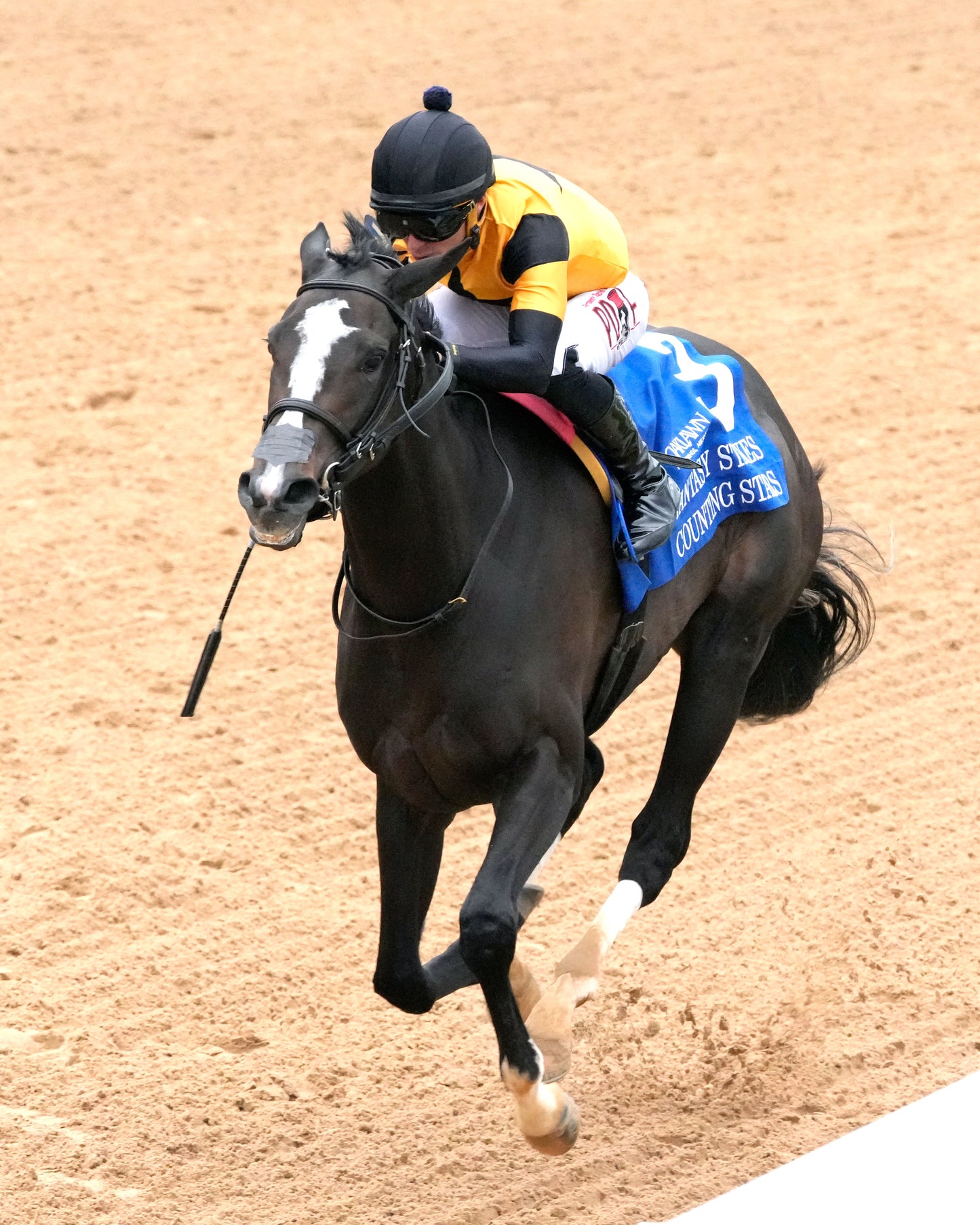 COUNTING STARS - The Fantasy Stakes G2 - 03-27-26 - R11 - OP - Inside Finish 02 - Coady Media - Kurtis Coady Photography