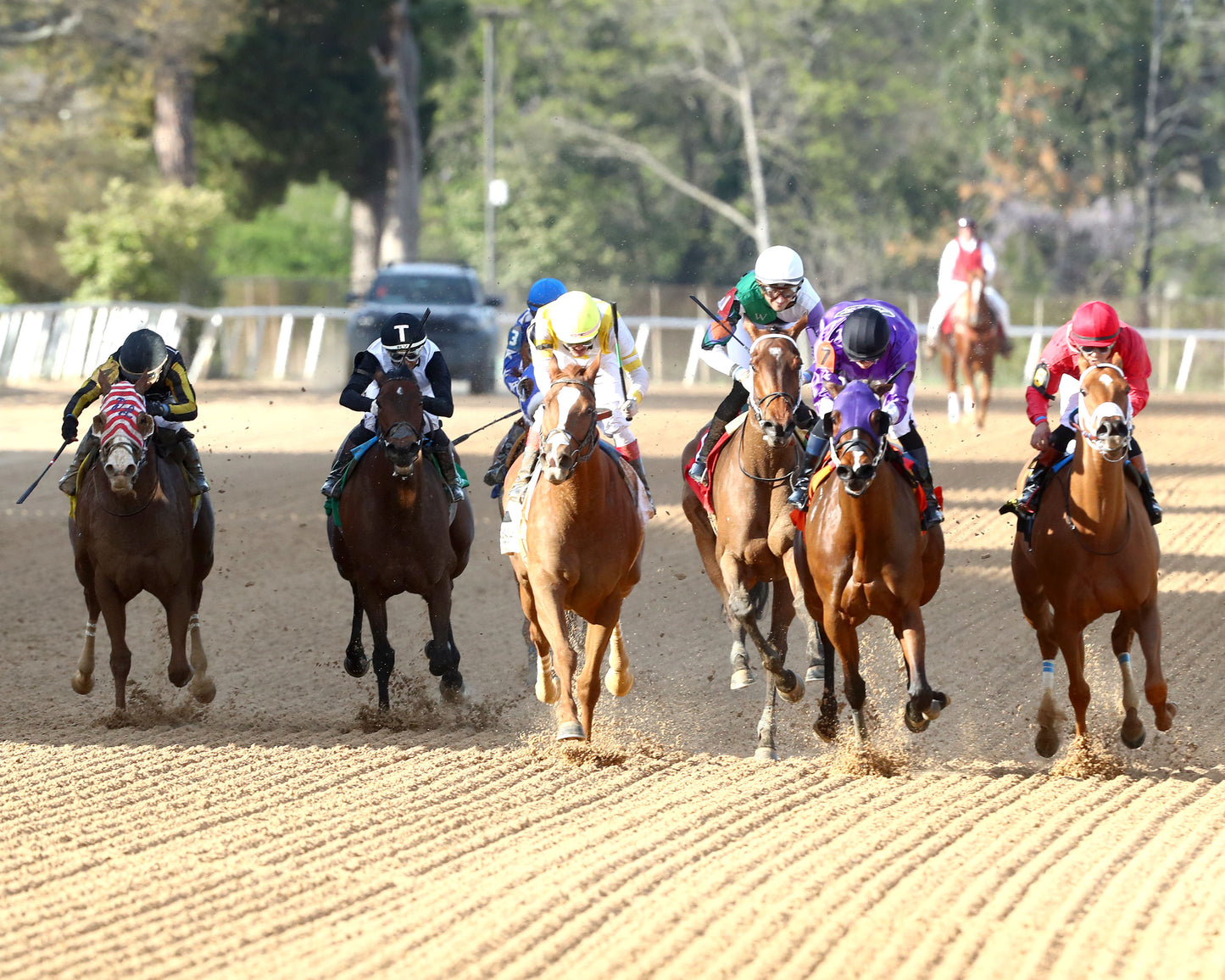 DELACINA - Ratings Handicap - 03-13-26 - R09 - OP - Head On 01 - Coady Media - Kurtis Coady Photography