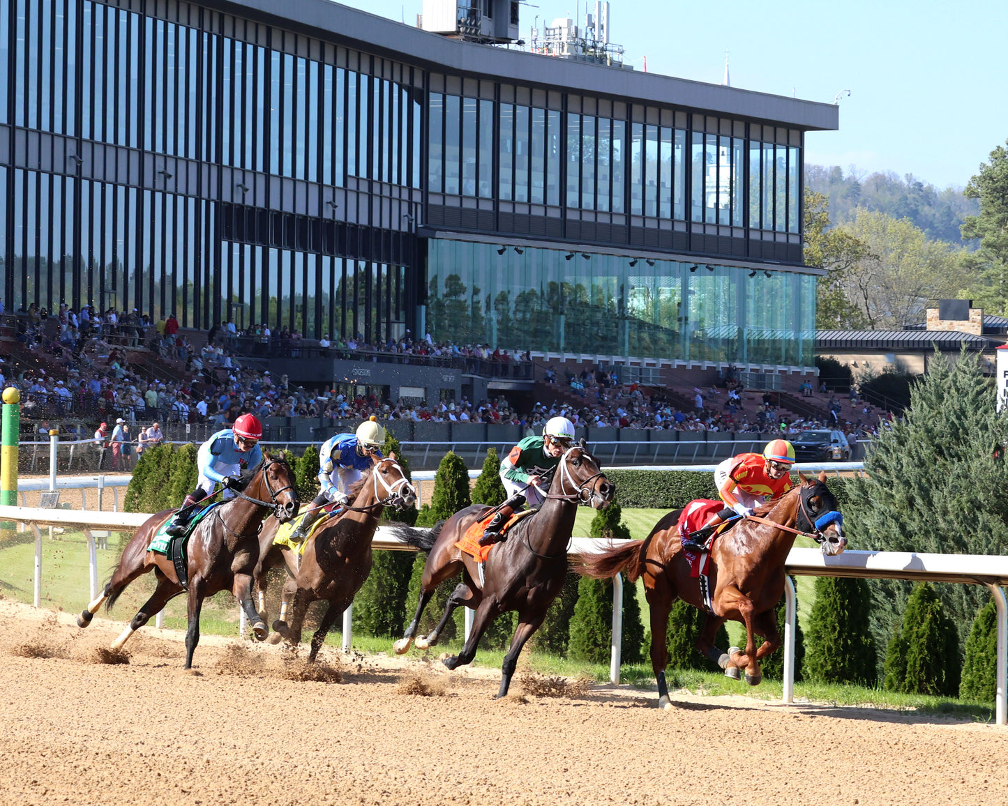DESERT GATE - The Hot Springs Stakes - 03-26-26 - R08 - OP - Sweeping Turn 01 - Coady Media - Kurtis Coady Photography