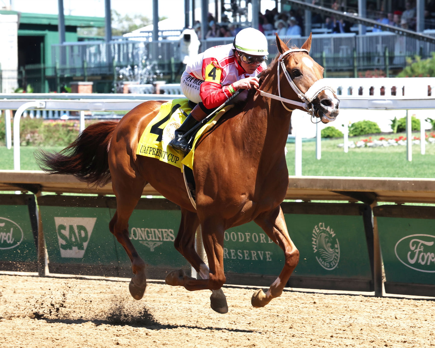 DIAMOND GEM AA - 043026 - Race 06 - CD - Finish 02 - Coady Media - Kurtis Coady Photography