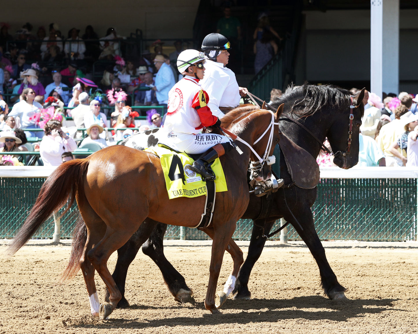 DIAMOND GEM AA - 043026 - Race 06 - CD - Post Parade 01 - Coady Media - Kurtis Coady Photography