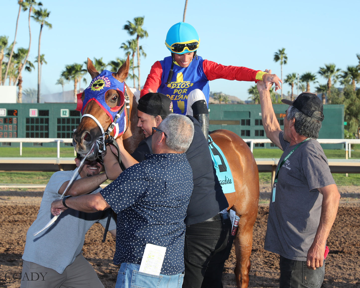 DISTANT FLEET - Phoenix Gold Cup - 03-21-26 - R08 - Turf Paradise - Return Shot 2 - Coady Media - Kurtis Coady Photography