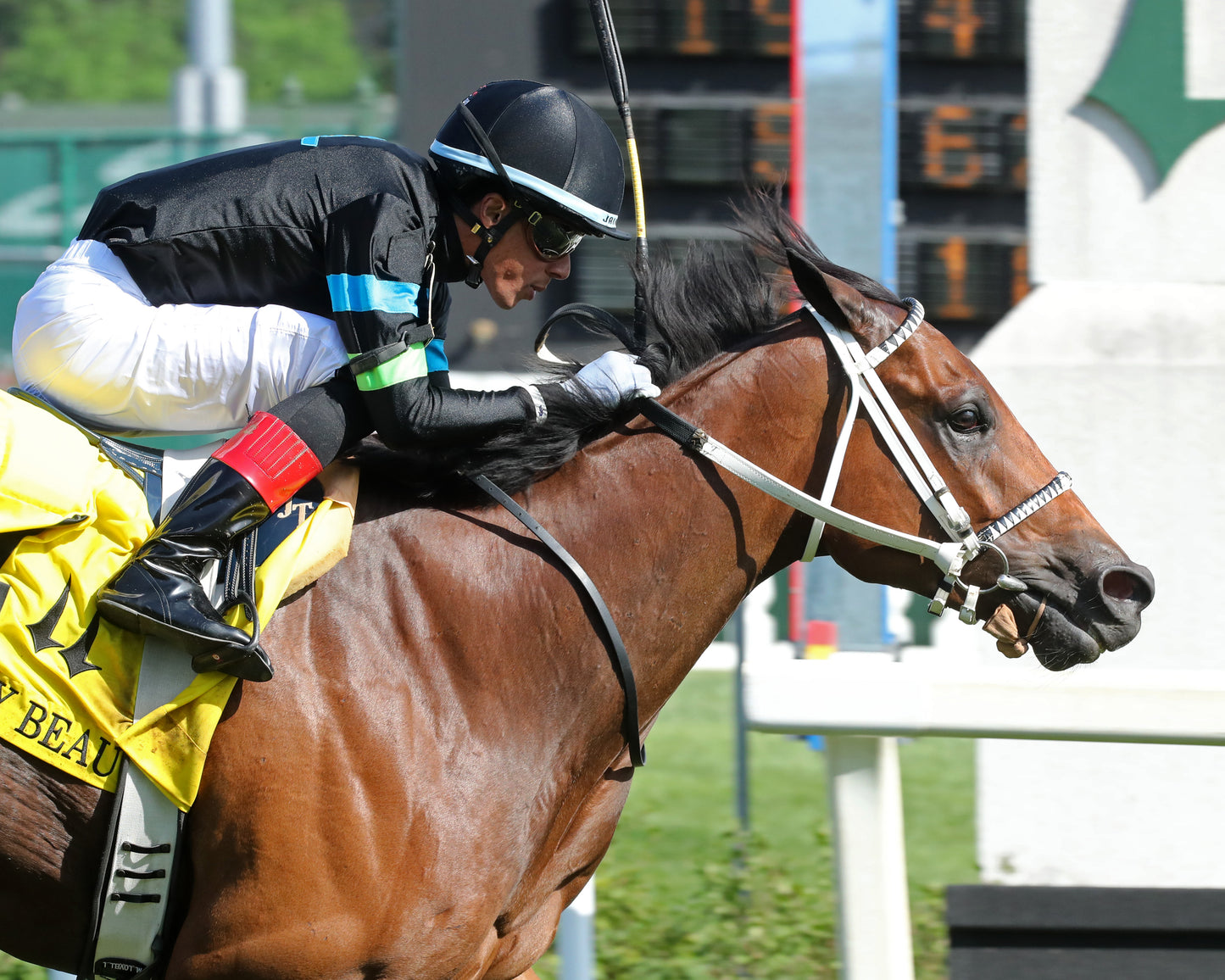 DONCHO - The Mighty Beau - 06-06-26 - R10 - CD - Tight Finish 01