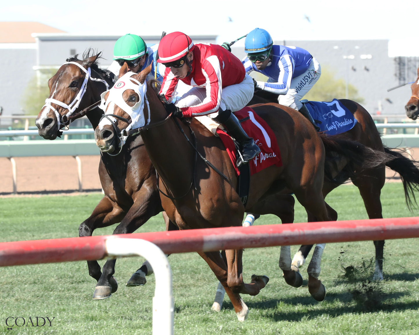 DONTGIVEUPTHEFIGHT - Queen Of The Green Handicap - 03-21-26 - R04 - Turf Paradise - Inside Finish - Coady Media - Kurtis Coady Photography