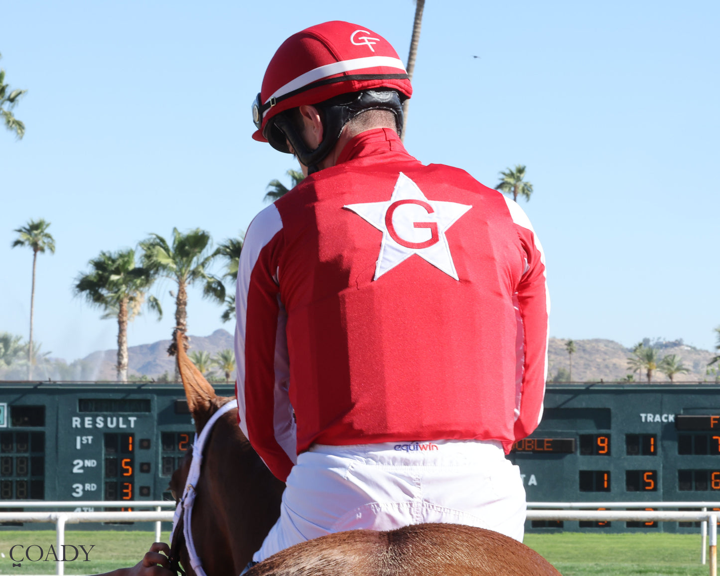 DONTGIVEUPTHEFIGHT - Queen Of The Green Handicap - 03-21-26 - R04 - Turf Paradise - Silks - Coady Media - Kurtis Coady Photography
