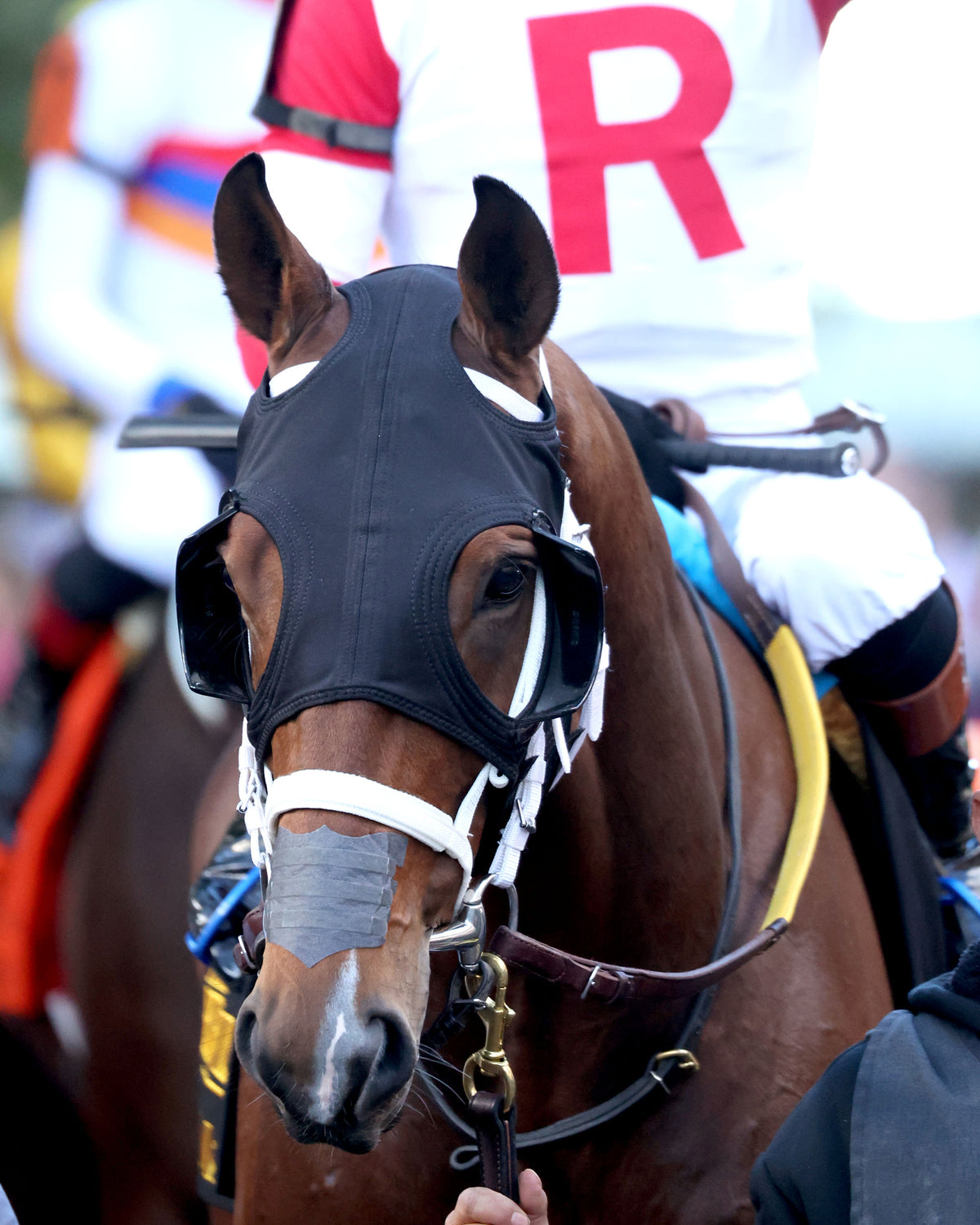 DR. KAPUR - The Perryville G3 - 10-17-26 - R07 - KEE - Paddock 01