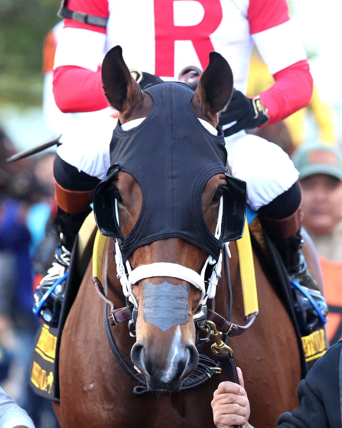 DR. KAPUR - The Perryville G3 - 10-17-26 - R07 - KEE - Paddock 02