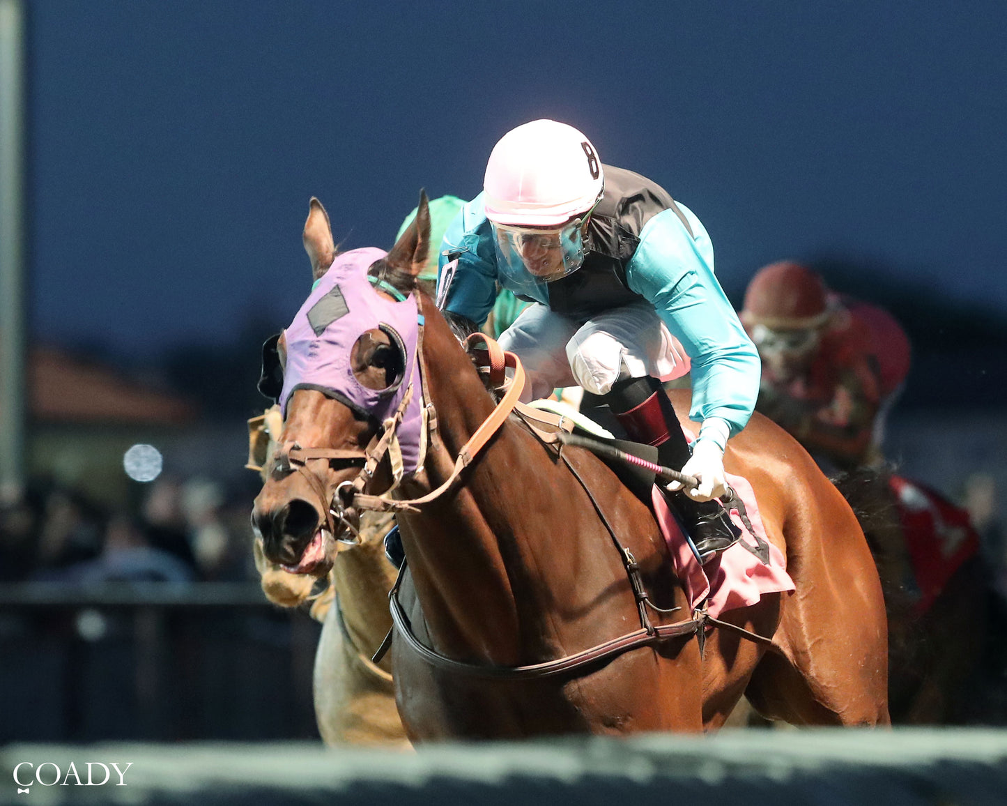 DUNCAN IDAHO - Last Enchantment WVB Overnight Stake - 08-22-25 - R07 - CT - Inside Finish 01 - Coady Media - Kurtis Coady Photography