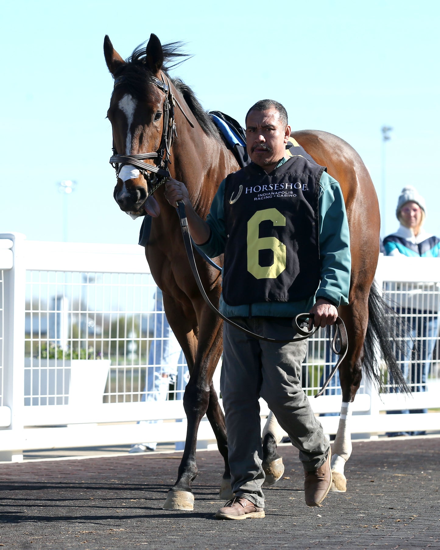 EKATI FLATTER - The Merrill C Roberts Overnight Handicap - 04-07-26 - R07 - Horseshoe Indiana - Paddock 01 - Casey Cable - Coady Media - Kurtis Coady Photography