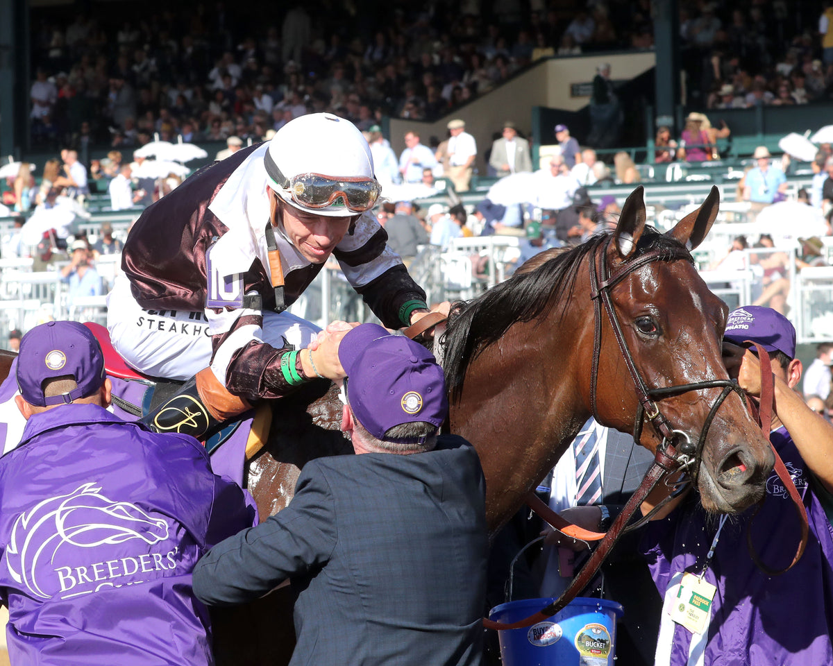 EMPHATIC - Breeders' Cup Juvenile Fillies G1 - 10-30-26 - R07 - Keeneland Race Course - Celebration 02 - Stephen Ibanez - Coady Media - Kurtis Coady Photography