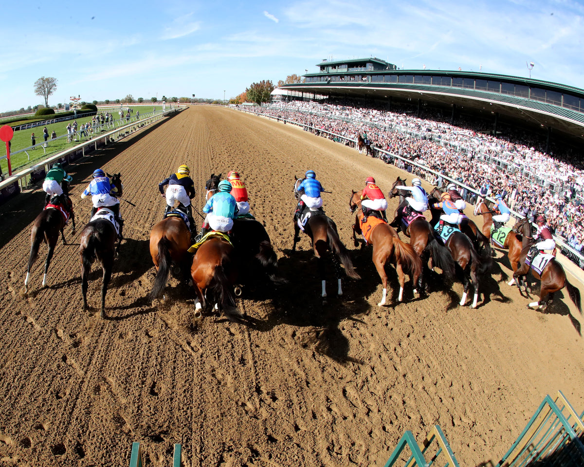 EMPHATIC - Breeders' Cup Juvenile Fillies G1 - 10-30-26 - R07 - Keeneland Race Course - Gate 01 - Shawn Coady - Coady Media - Kurtis Coady Photography