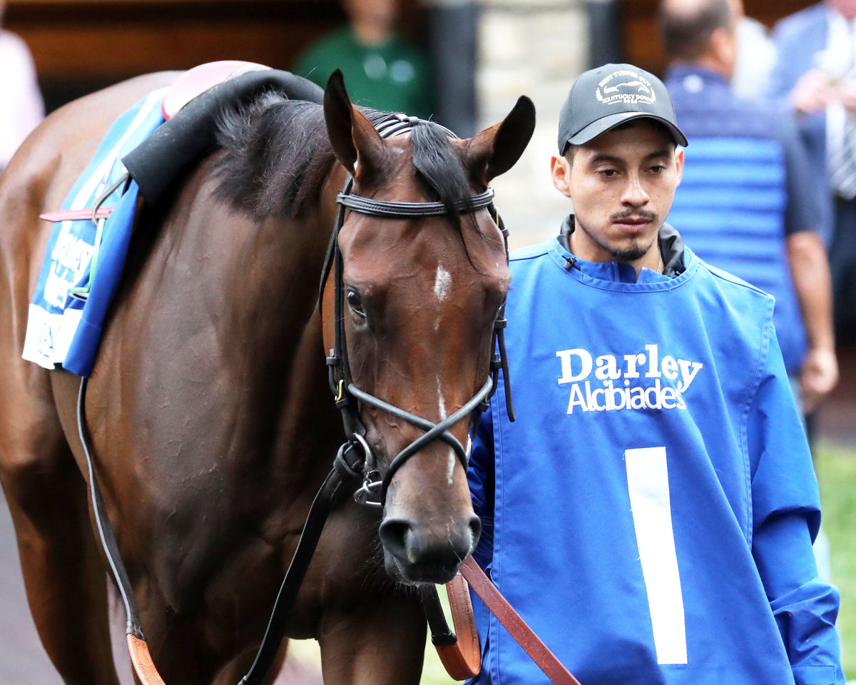 EMPHATIC - 100226 - Race 09 - KEE The Darley Alcibiades G1 - Paddock 01