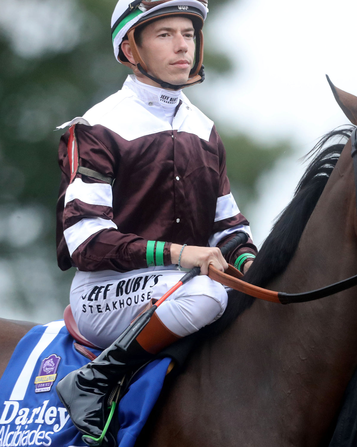 EMPHATIC - 100226 - Race 09 - KEE The Darley Alcibiades G1 - Post Parade 01