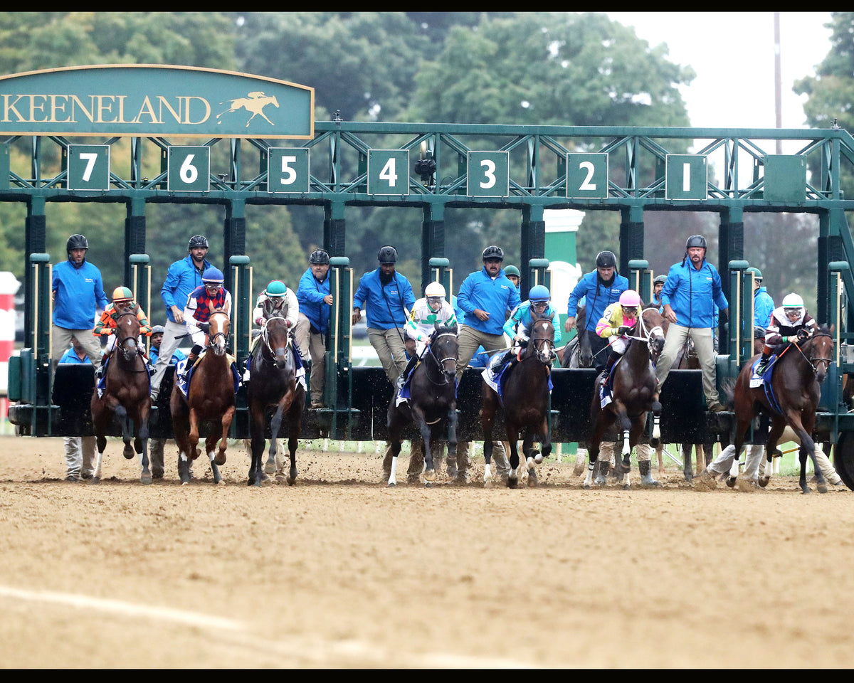 EMPHATIC - 100226 - Race 09 - KEE The Darley Alcibiades G1 - Start 01