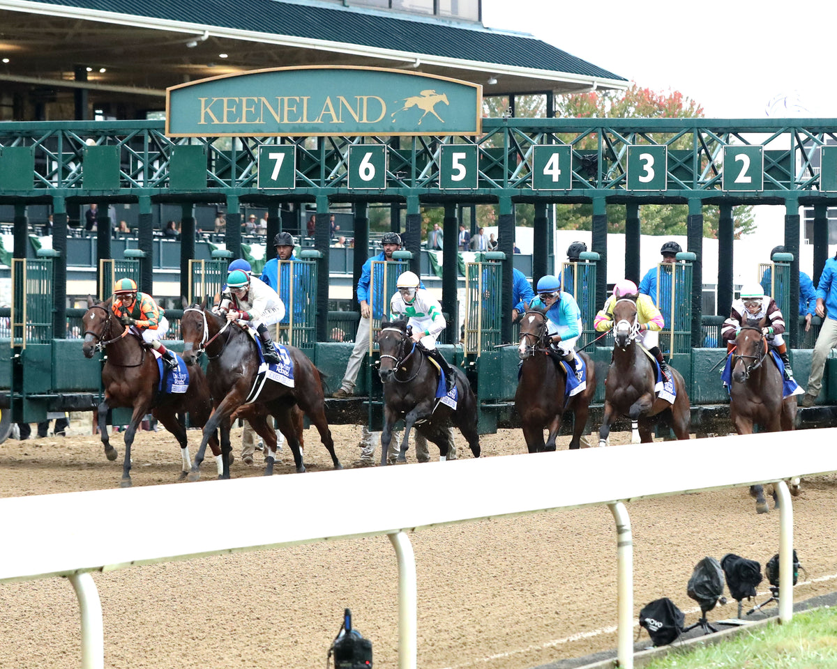 EMPHATIC - 100226 - Race 09 - KEE The Darley Alcibiades G1 - Start 04
