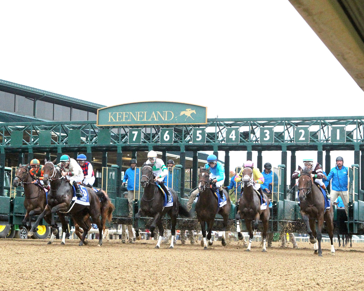 EMPHATIC - 100226 - Race 09 - KEE The Darley Alcibiades G1 - Start 05