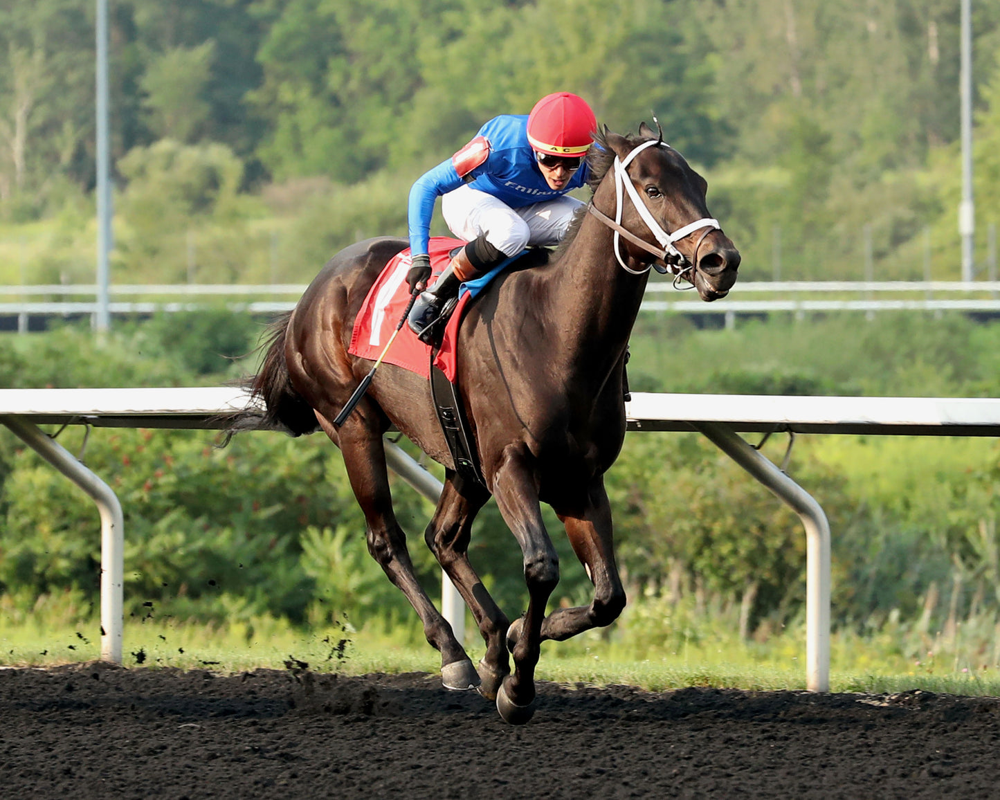 ENCINO - The Avery Whisman Memorial Stakes - 08-10-26 - R07 - PID - 3/4 Shot 01