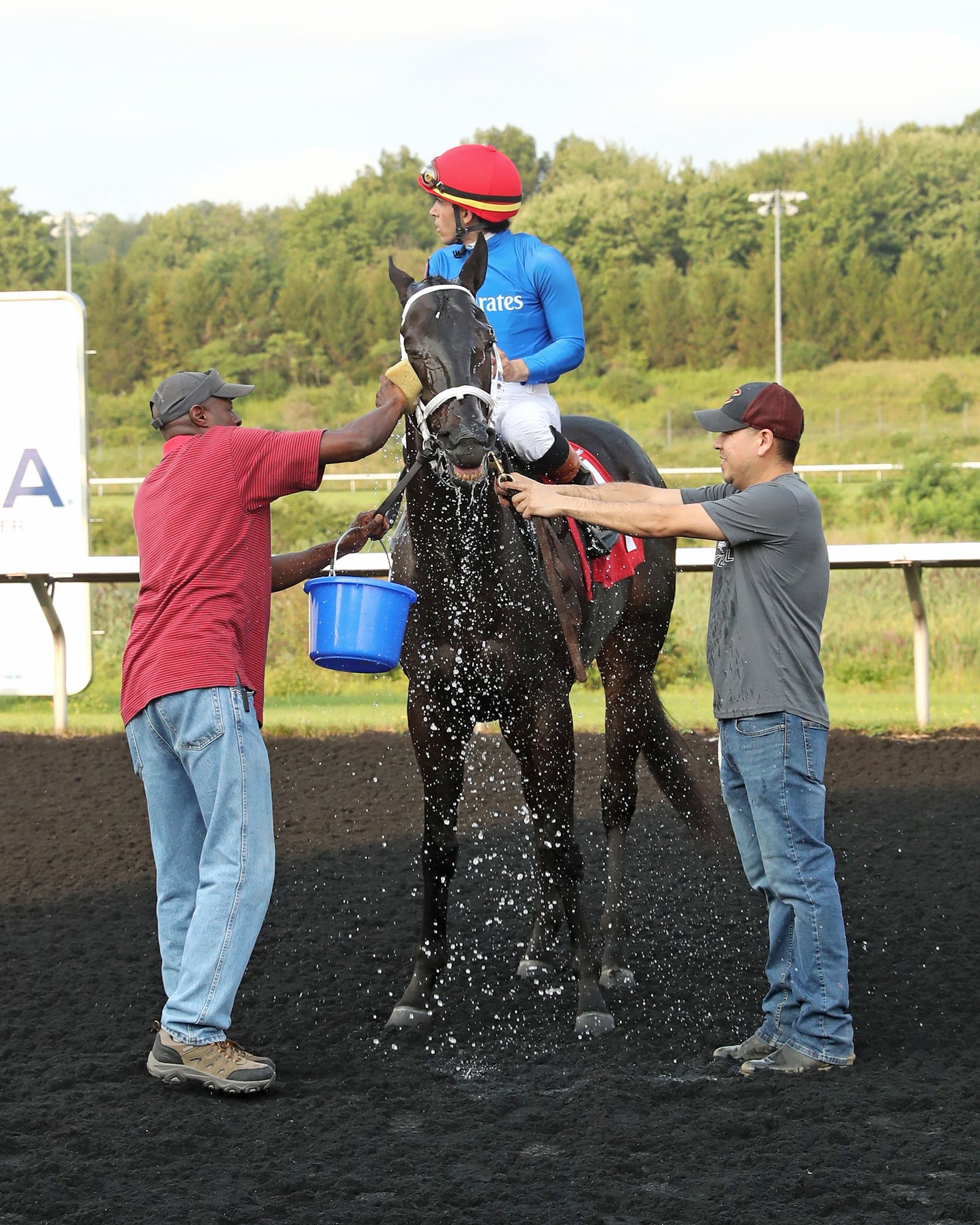 ENCINO - The Avery Whisman Memorial Stakes - 08-10-26 - R07 - PID - Bath 03