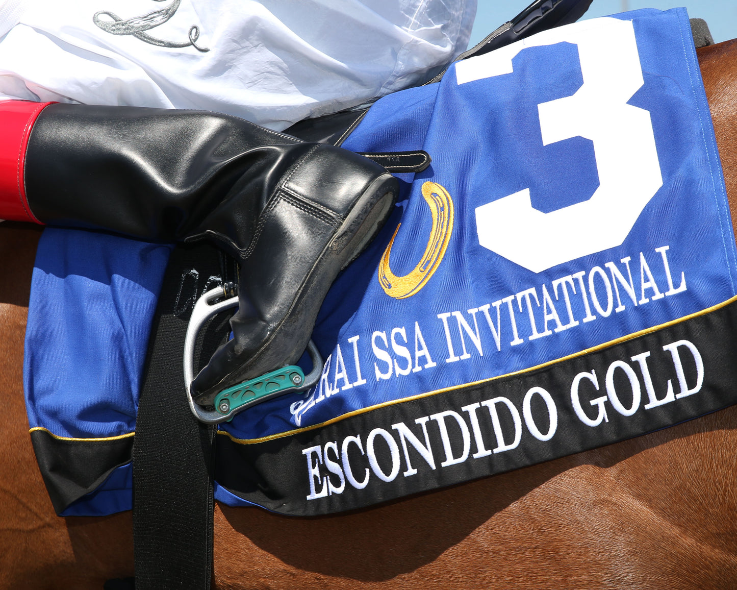 ESCONDIDO GOLD - QHRAI Stallion Service Auction Derby Invitational - 08-30-25 - R06 - Horseshoe Indiana - Saddle Towel 01 - Sammantha Pagels - Coady Media - Kurtis Coady Photography