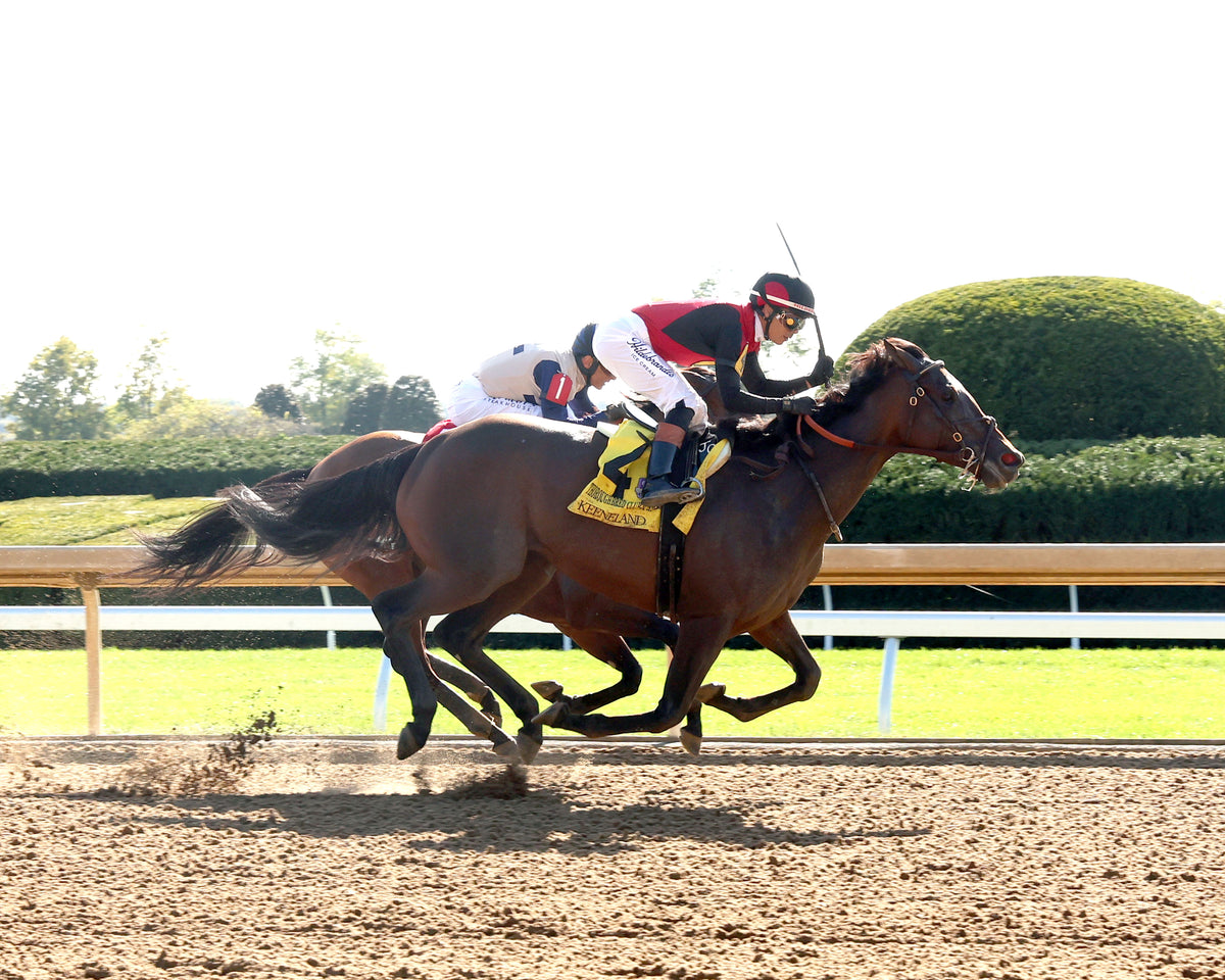 EVANESCENCE - 100326 - Race 07 - KEE The Thoroughbred Club of America G2 - Finish 01