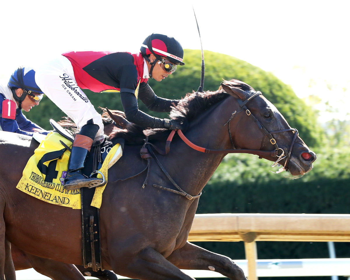 EVANESCENCE - 100326 - Race 07 - KEE The Thoroughbred Club of America G2 - Finish 04