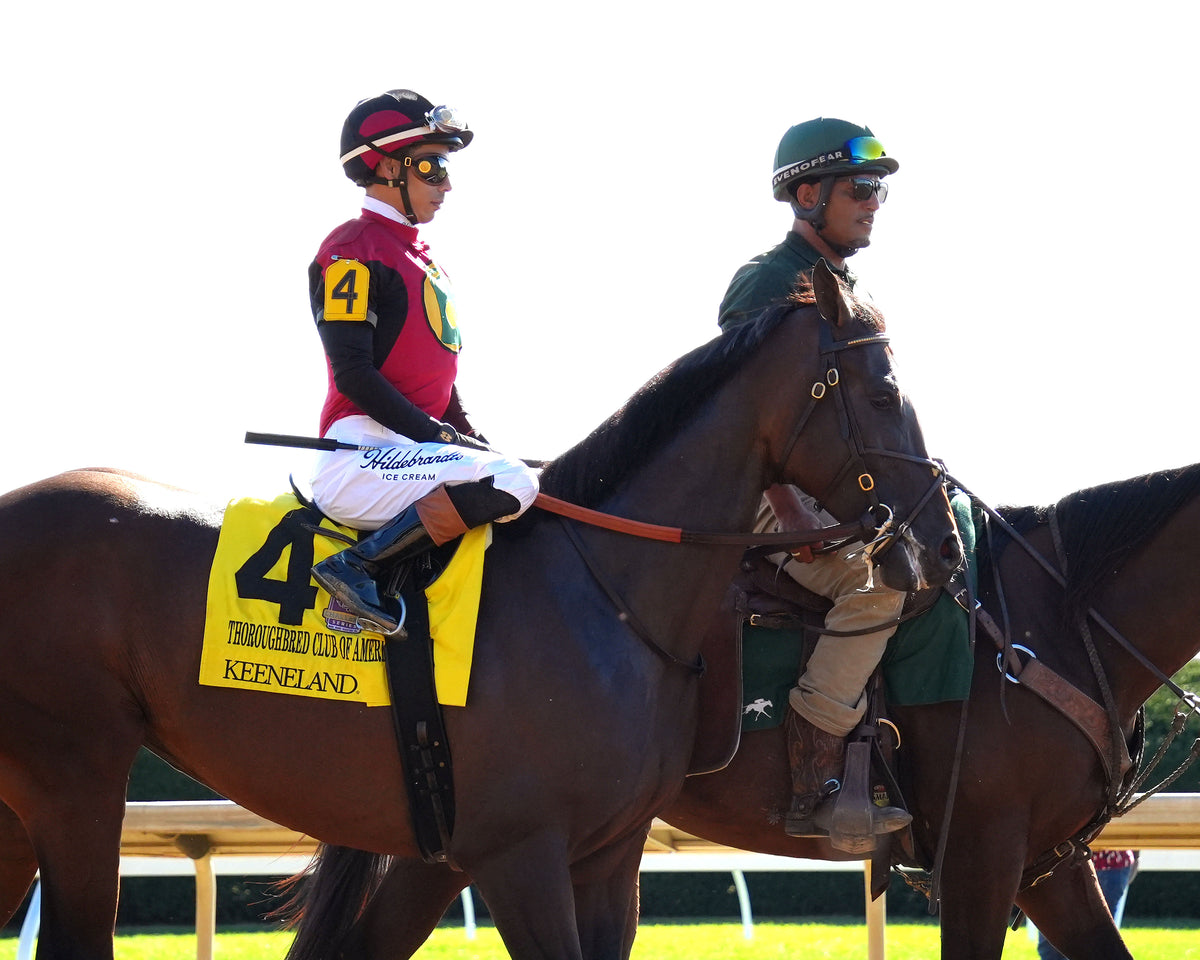 EVANESCENCE - 100326 - Race 07 - KEE The Thoroughbred Club of America G2 - Post Parade 01