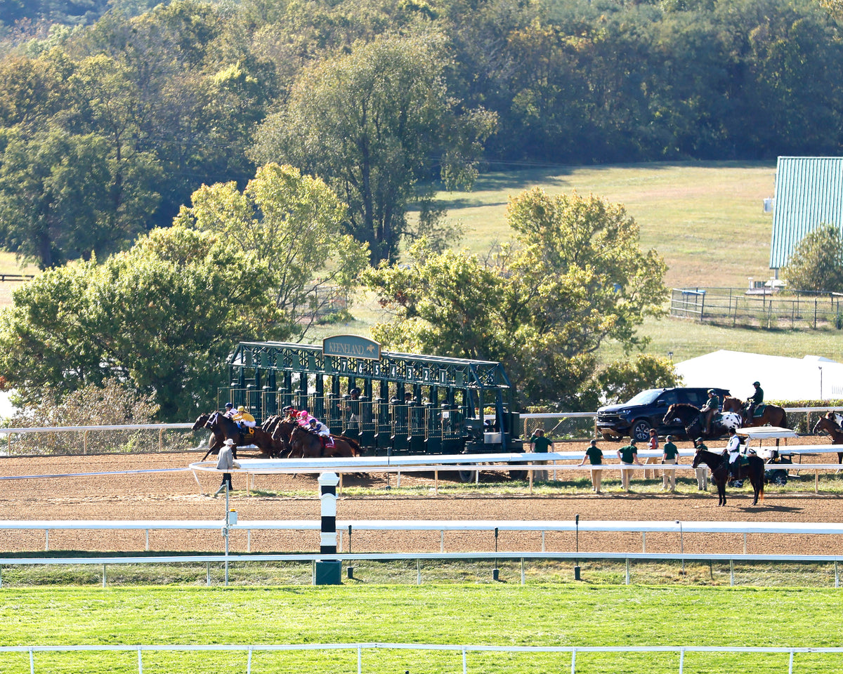 EVANESCENCE - 100326 - Race 07 - KEE The Thoroughbred Club of America G2 - Start 01