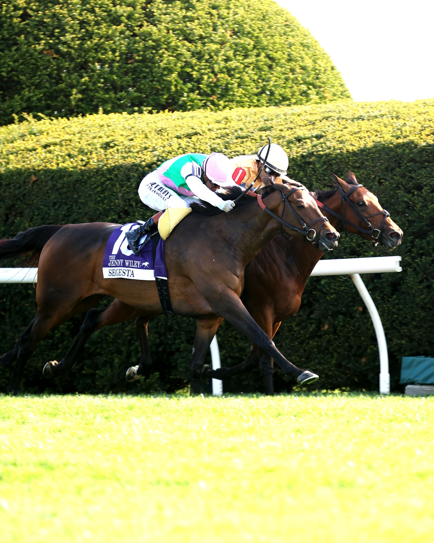 SEGESTA - 041126 - Race 09 - KEE Jenny Wiley G1 - 38th Running - Tight Finish 01 - Coady Media - Kurtis Coady Photography