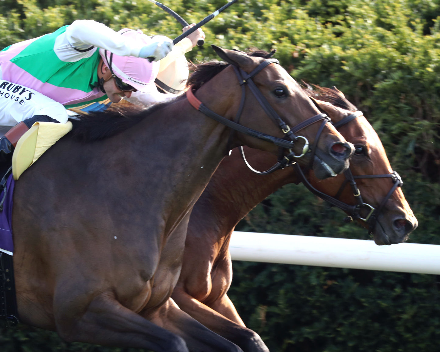 EXPENSIVE QUEEN - Jenny Willey G1 - 38th Running - 04-11-26 - R09 - KEE - Tight Finish 01 - Coady Media - Kurtis Coady Photography
