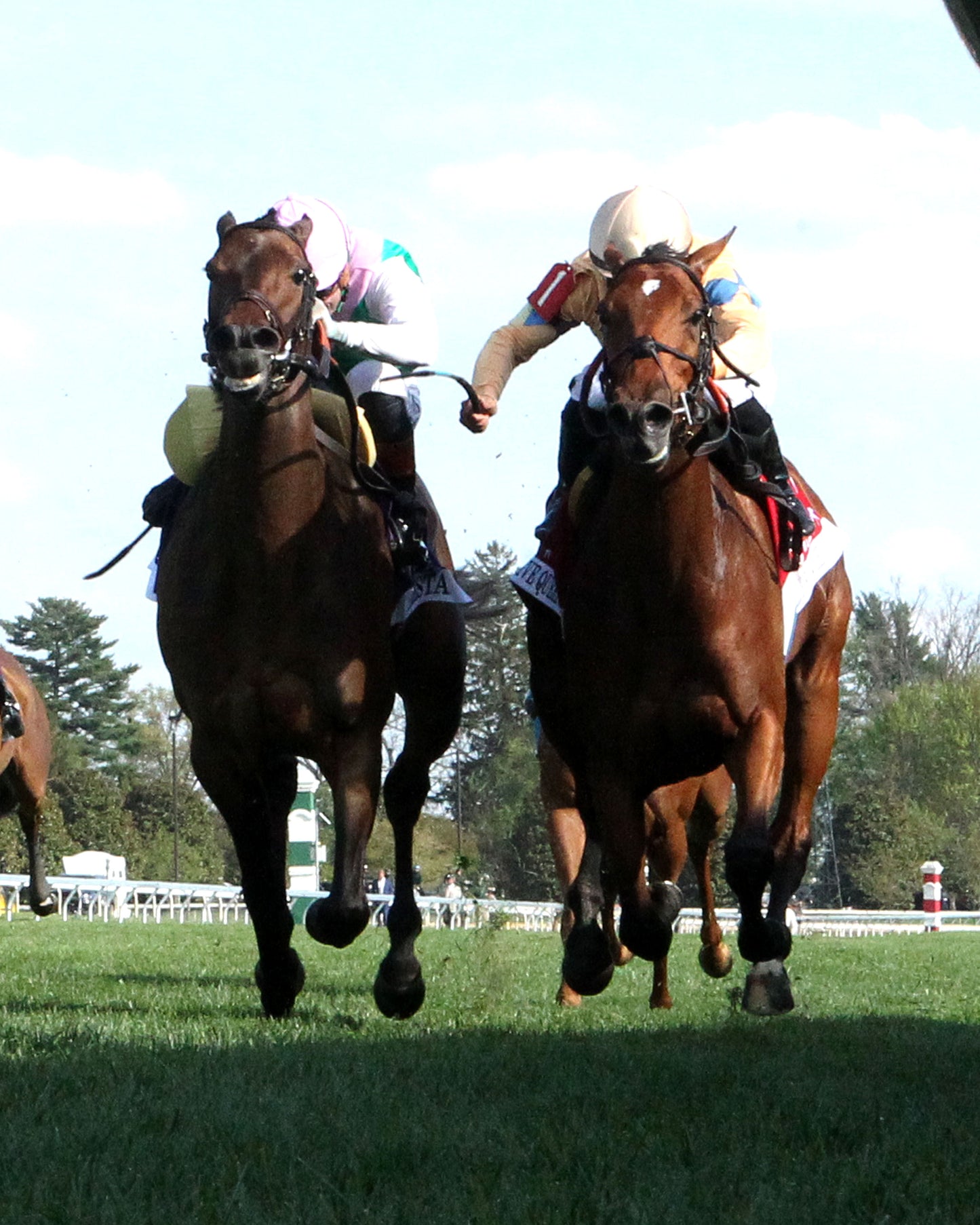 EXPENSIVE QUEEN - 041126 - Race 09 - KEE Jenny Wiley G1 - 38th Running - Under Rail 02 - Coady Media - Kurtis Coady Photography