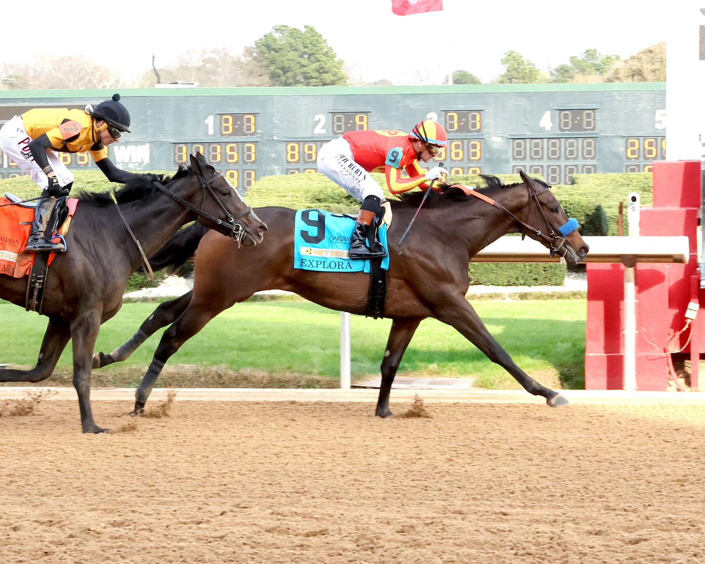 EXPLORA - Honeybee Stakes G3 - 03-01-26 - R09 - OP - Finish 01 - Coady Media - Kurtis Coady Photography