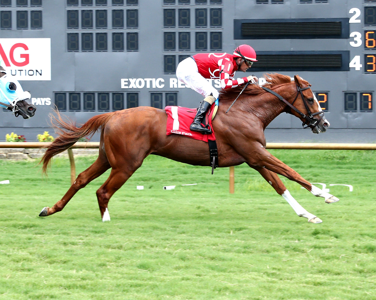FANCY SAILOR - 080226 - Race 07 - ELP Finish 01
