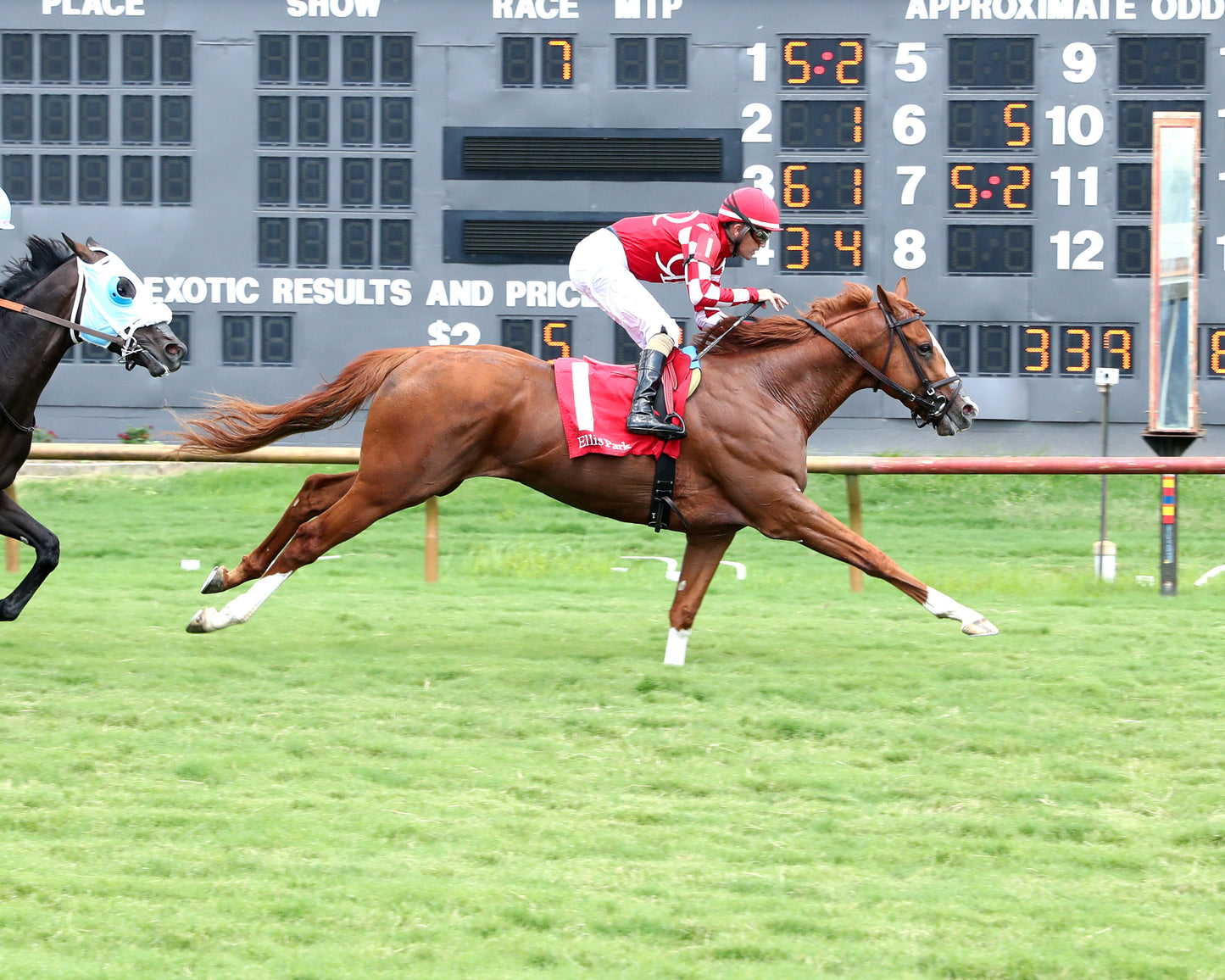 FANCY SAILOR - 080226 - Race 07 - ELP Finish 02