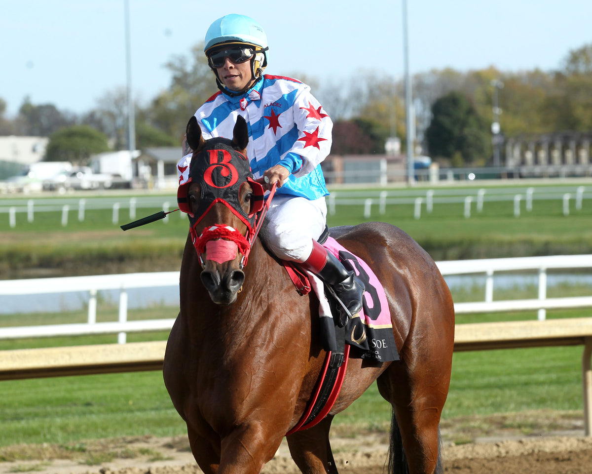 FLYING BEACH - Miss Roxie Little Juvenile Stakes - 10-24-26 - R09 - Horseshoe Indiana - Comeback 01 - Casey Cable - Coady Media - Kurtis Coady Photography