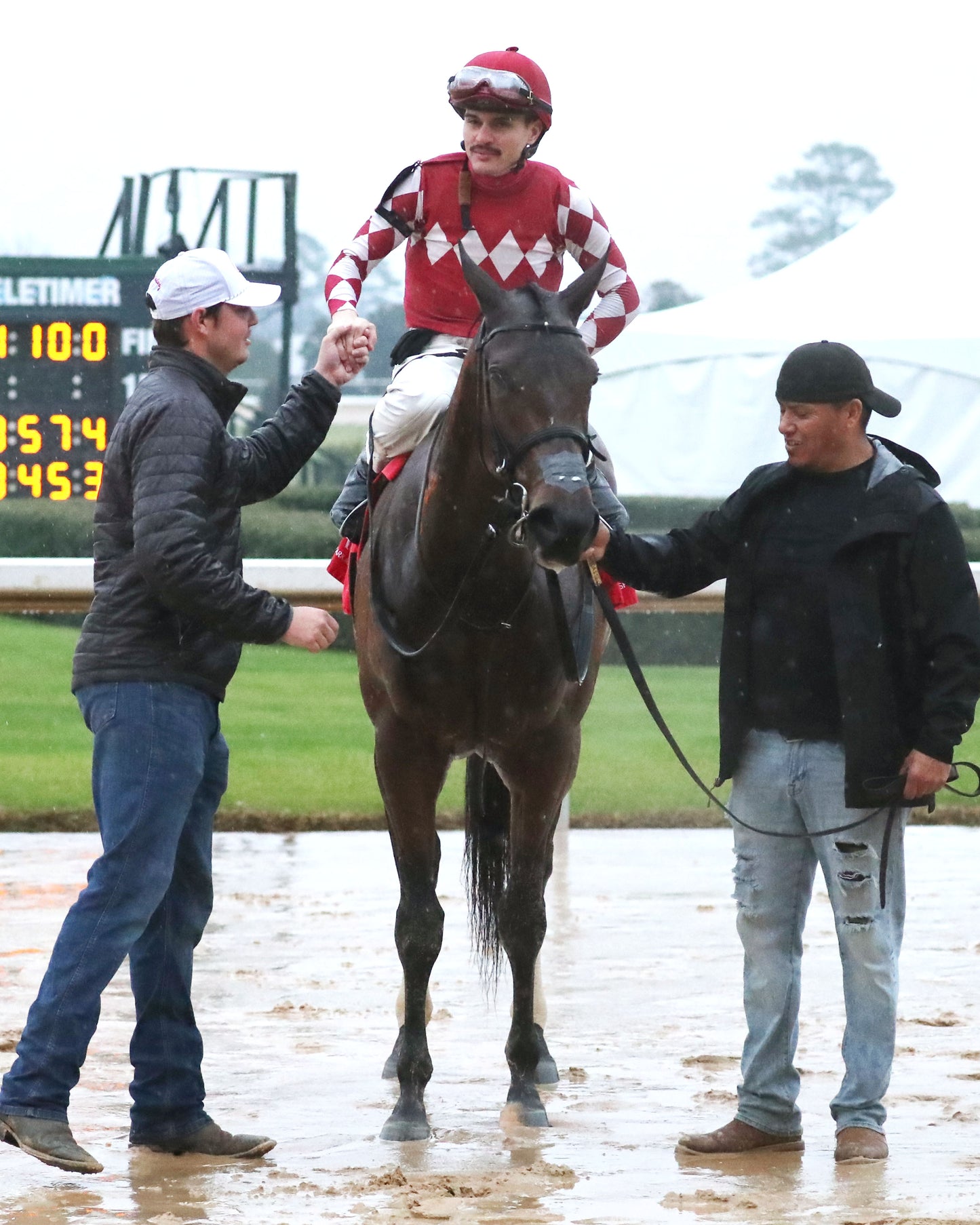 FRENCH FRICTION - The Dixie Belle Stakes - 02-14-26 - R09 - OP - Come Back 02 - Coady Media - Kurtis Coady Photography