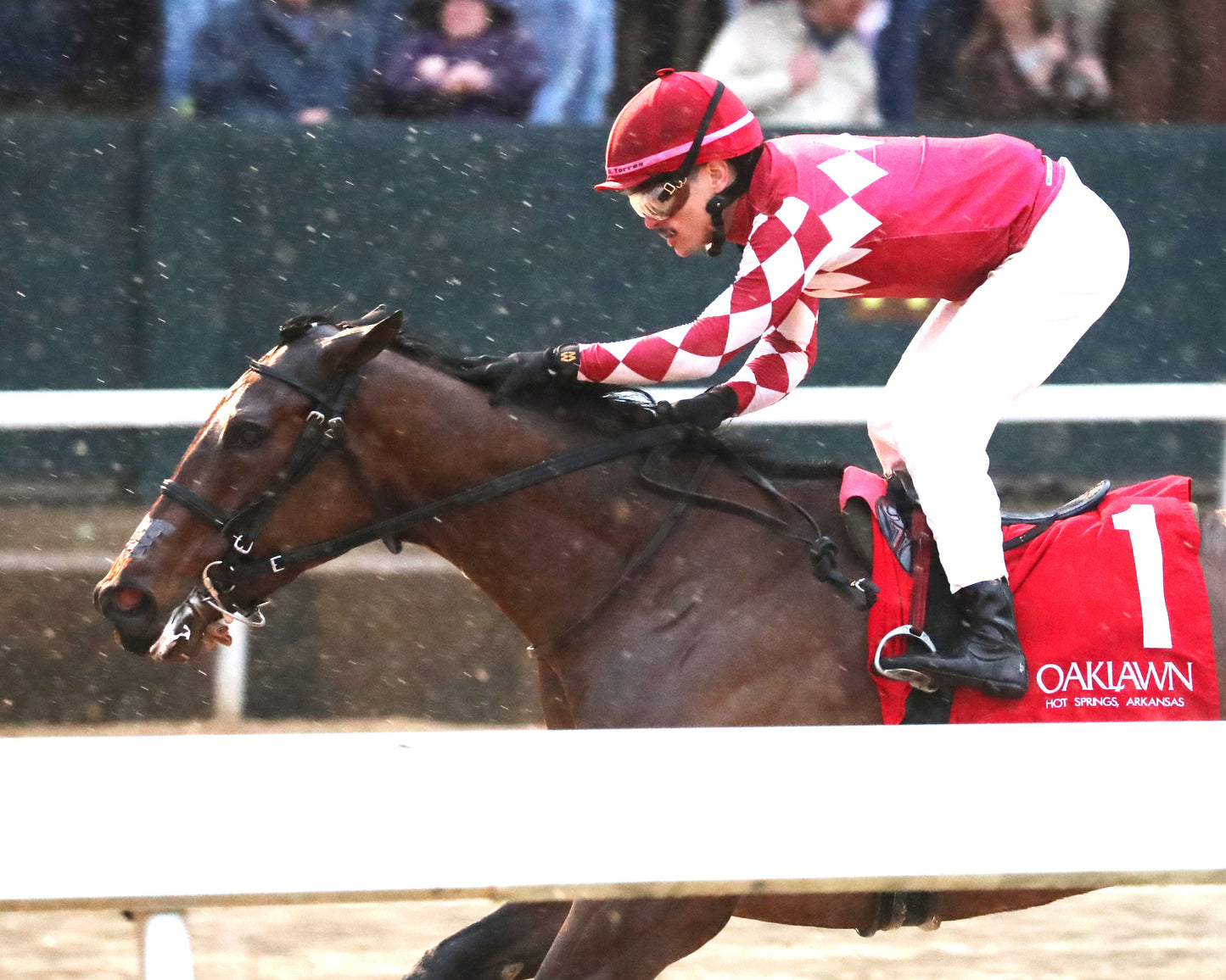 FRENCH FRICTION - The Dixie Belle Stakes - 02-14-26 - R09 - OP - Inside Finish 01 - Coady Media - Kurtis Coady Photography