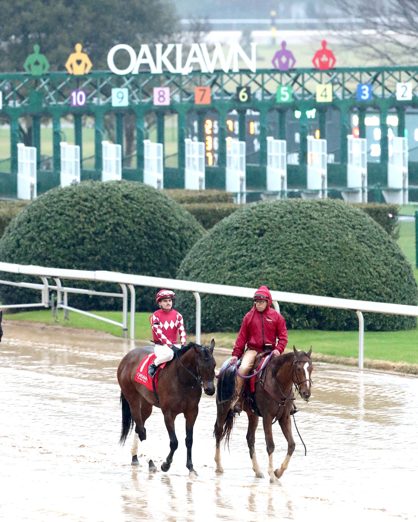FRENCH FRICTION - The Dixie Belle Stakes - 02-14-26 - R09 - OP - Post Parade 04 - Coady Media - Kurtis Coady Photography