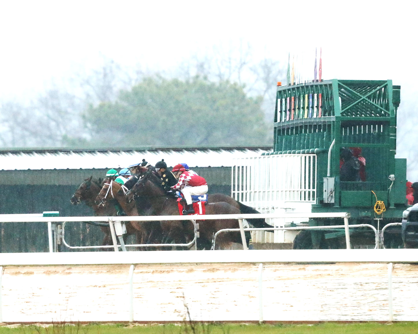 FRENCH FRICTION - The Dixie Belle Stakes - 02-14-26 - R09 - OP - Start 01 - Coady Media - Kurtis Coady Photography