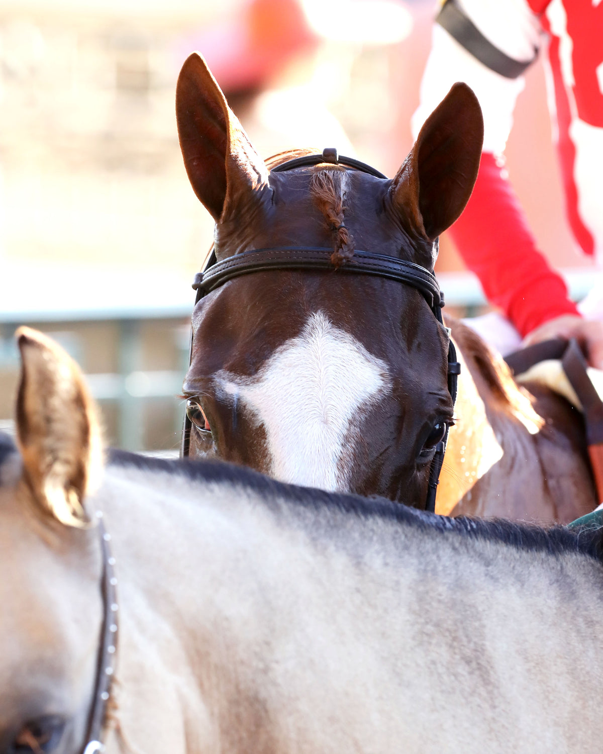 FULLY SUBSCRIBED - 100426 - Race 09 - KEE The Juddmonte Spinster G1 - Come Back 02