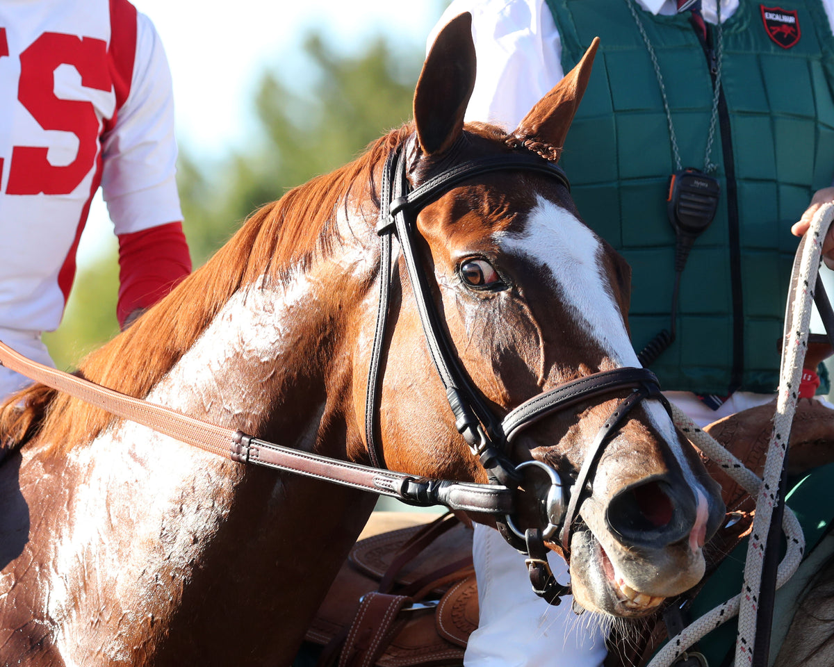 FULLY SUBSCRIBED - 100426 - Race 09 - KEE The Juddmonte Spinster G1 - Come Back 03