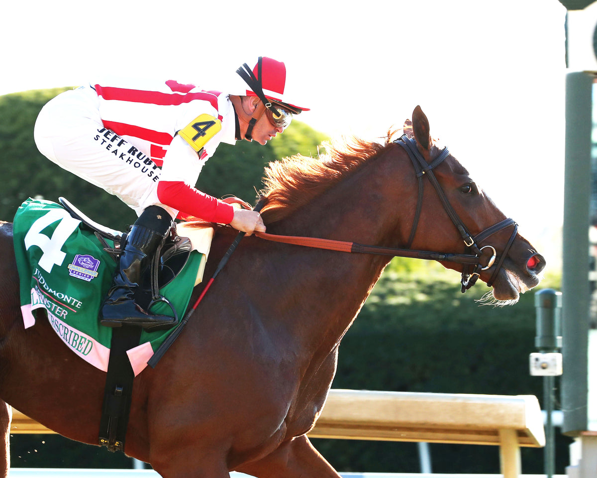 FULLY SUBSCRIBED - 100426 - Race 09 - KEE The Juddmonte Spinster G1 - Finish 03