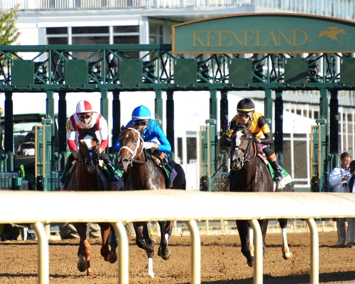 FULLY SUBSCRIBED - 100426 - Race 09 - KEE The Juddmonte Spinster G1 - Start 02